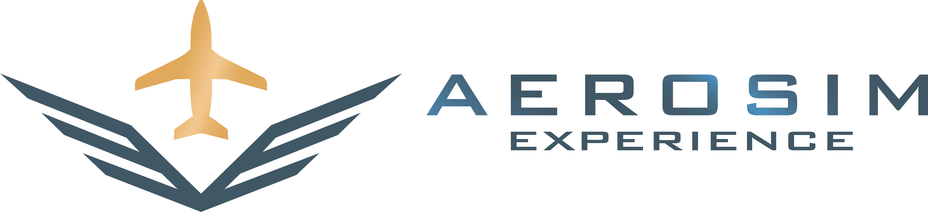 Aerosim Experience Vancouver
